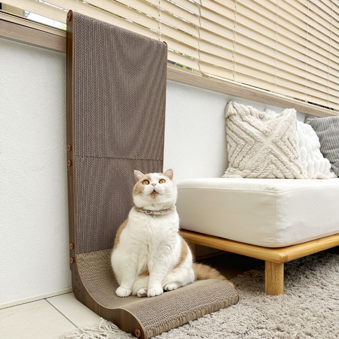 ＜猫壱＞爪とぎ　ダンボール　L字爪とぎ　バリバリボード ウッドプレミアム Lサイズ ダークブラウン　猫ちゃん使用画像2