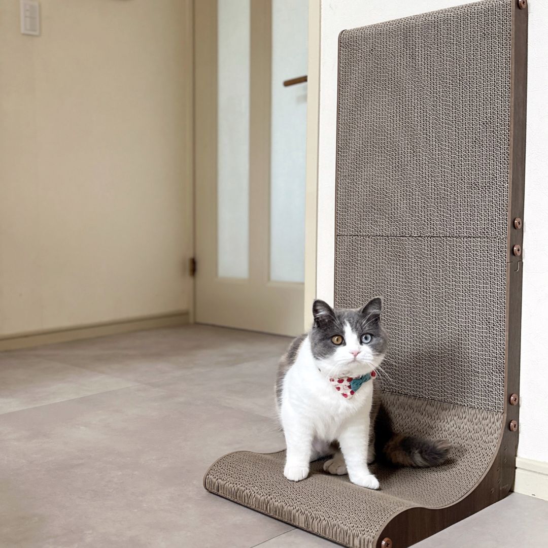 ＜猫壱＞爪とぎ　ダンボール　L字爪とぎ　バリバリボードL　ライトブラウン　猫ちゃん使用画像3