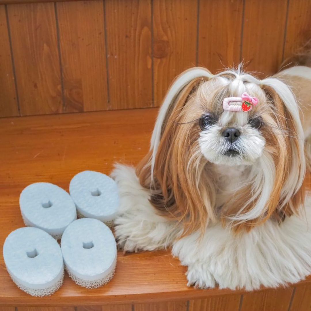 ＜猫壱＞猫用食器　食器用スポンジ　ヌルヌル汚れも洗剤なしでキレイに落とす食器用スポンジ　猫ちゃんと一緒2