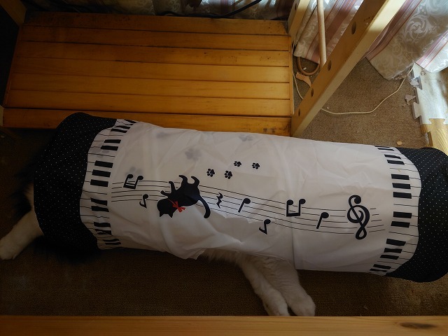 ん？着ぐるみ？