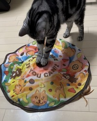 消しても消しても電源オンに