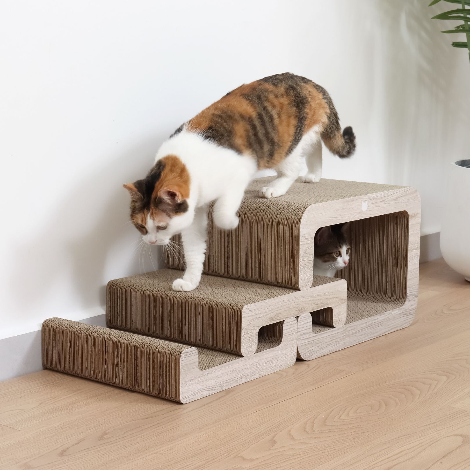 ＜猫壱＞猫用つめとぎ　バリバリステップ　商品画像1