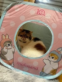 お誕生日プレゼント