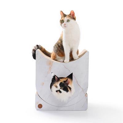 ＜猫壱＞爪とぎ　ダンボール爪とぎ　バリバリ キャットルーム　正面