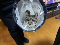 トンネルでたかーいたかーい！