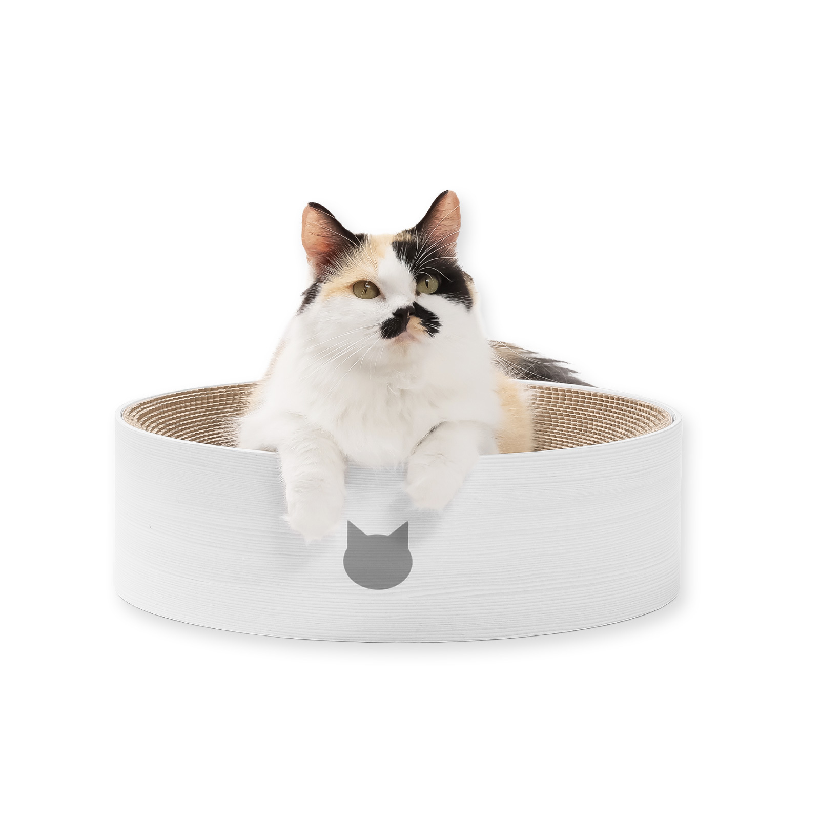 バリバリボウル　ホワイト<br><p style="font-size:75%;">寝てよし、研いでよし！交換できるので経済的</p>