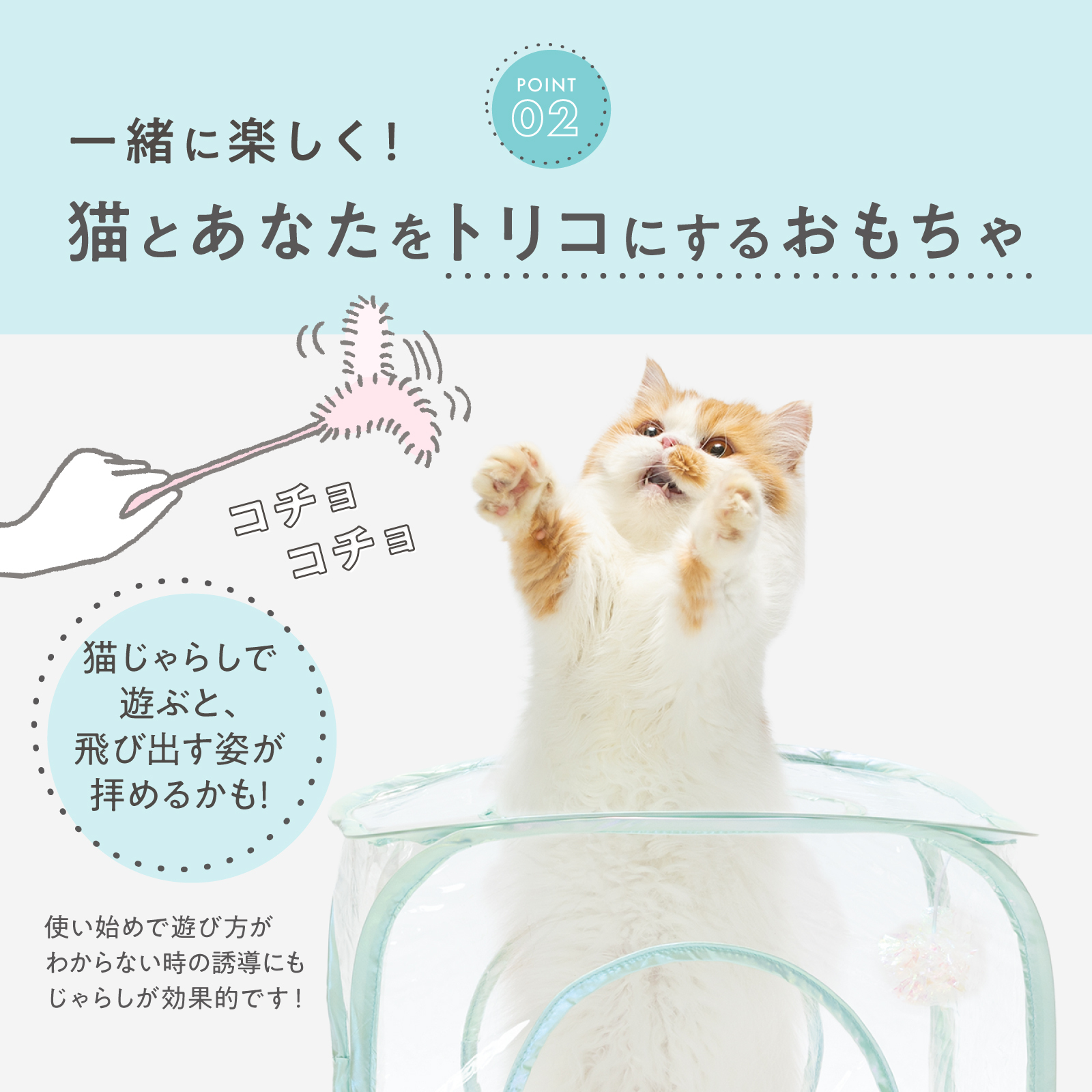 ＜猫壱＞猫用おもちゃ　キャットプレイキューブ クリア