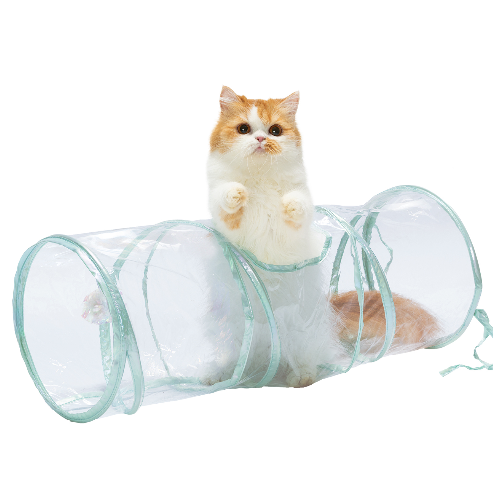 キャットトンネル　クリア<br><p style="font-size:75%;">毎日飽きずに遊びます！</p>