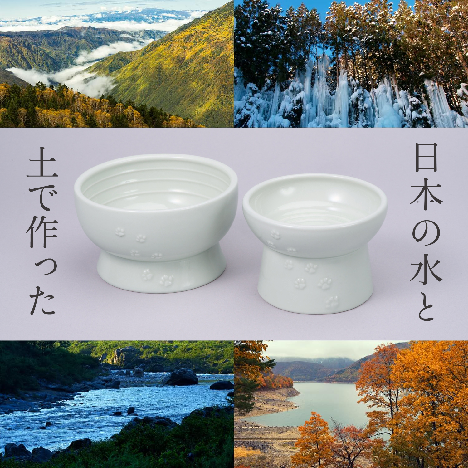 ＜猫壱＞猫用　脚付フードボウル　日本製　ペールグリーン　猫入り