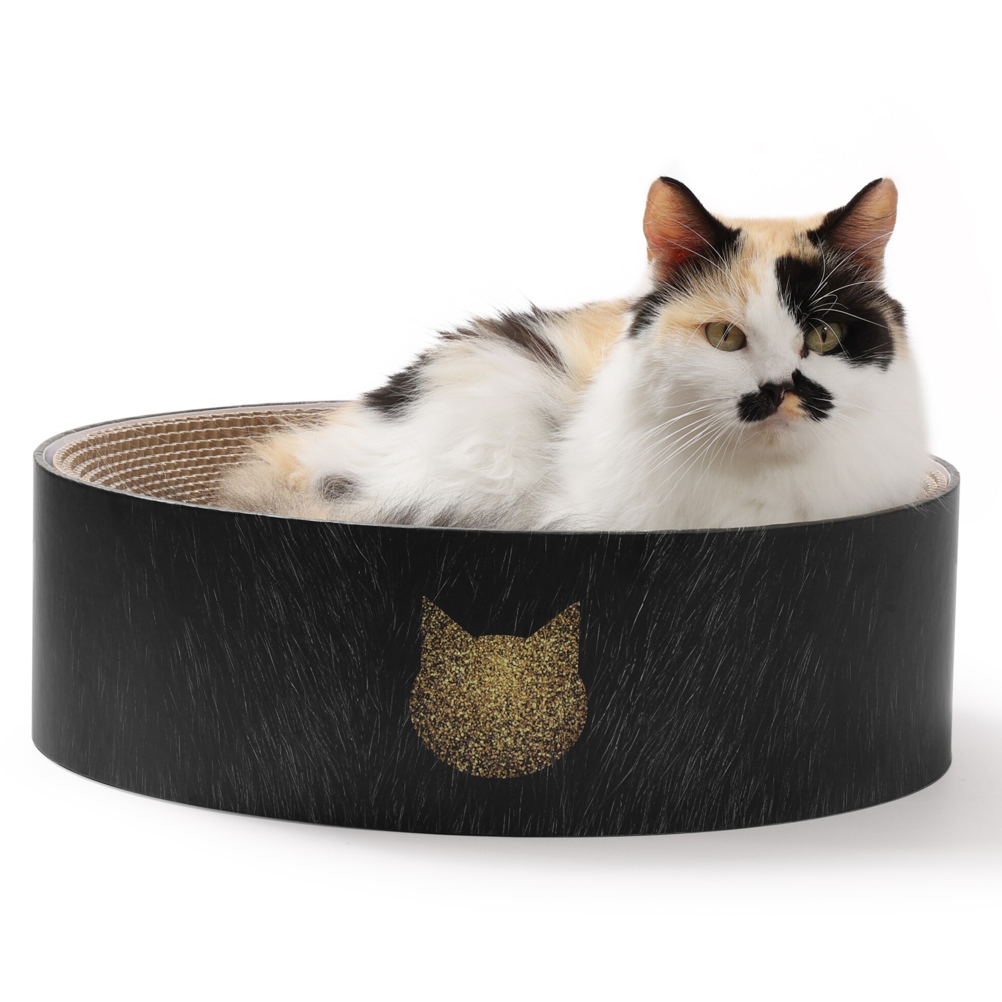 バリバリボウル　黒猫<br><p style="font-size:75%;">寝てよし、研いでよし！交換できるので経済的</p>