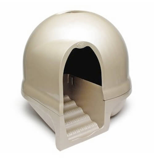 ドーム型のトイレを使っている｜猫壱（ねこいち・ネコイチ）